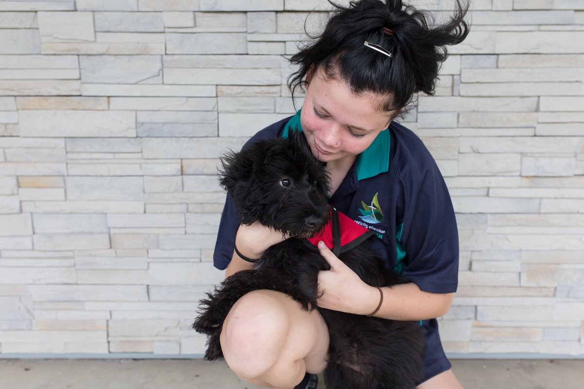 carinity_org's tweet photo. A #therapydog called Maverick is helping students at Carinity Education #Rockhampton by reducing their anxiety and stress.
Watch WIN News Central Queensland's story on Maverick at: https://t.co/QMQaRjr12A #tamaruke @Tamaruke @AnimalTherapy @ATMediaMag @ISQ_QLD @csa_edu_au https://t.co/qSpAdPhbNW