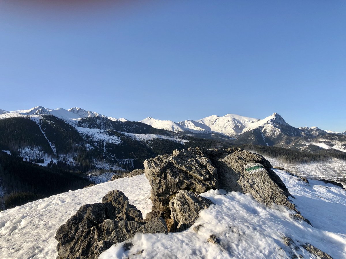 DariaTataj's tweet photo. Sometimes I hear from executives who reach a certain milestone that it feels very lonely. Having a clear purpose in mind helps find strength to go forward. #networkIQ https://t.co/2JnGJCtSpF