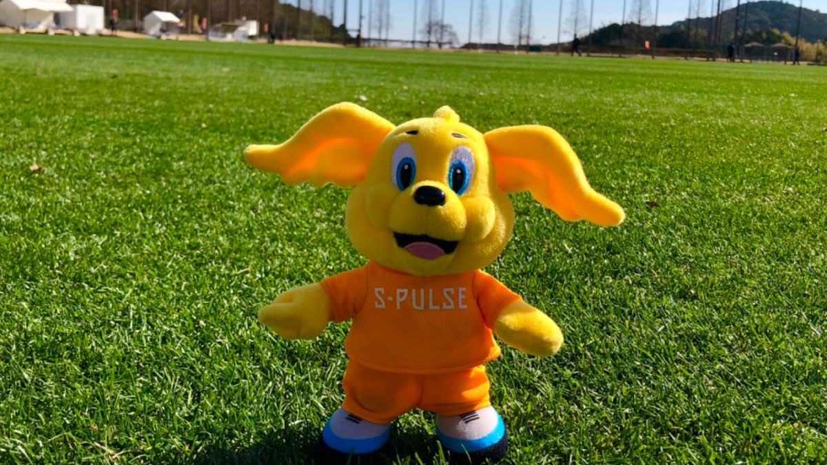 充実の品 清水エスパルス パルちゃん, 60% OFF 清水エスパルス パペットパルちゃん ご当地パルちゃん