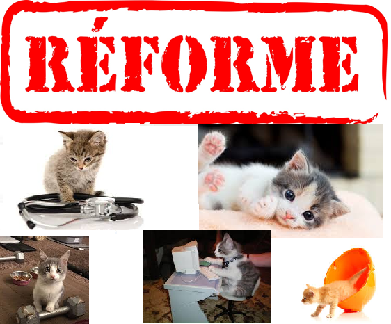 Pour les internes en médecine du travail : Soirée table-ronde en visio le jeudi 4 mars 2021 de 19h30 à 21h sur la réforme santé au travail.
Si vous souhaitez participer : forms.gle/Dmagn89rEuFYiE…