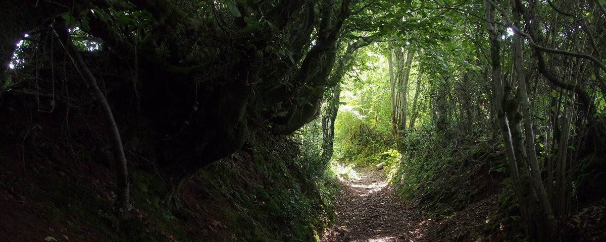 That light at the end of the tunnel does seem to be getting brighter now day by day doesn't it!  

Date for your diary - Saturday 11th September 2021 

#uskshow2021 #positivethoughts #nearlytherenow