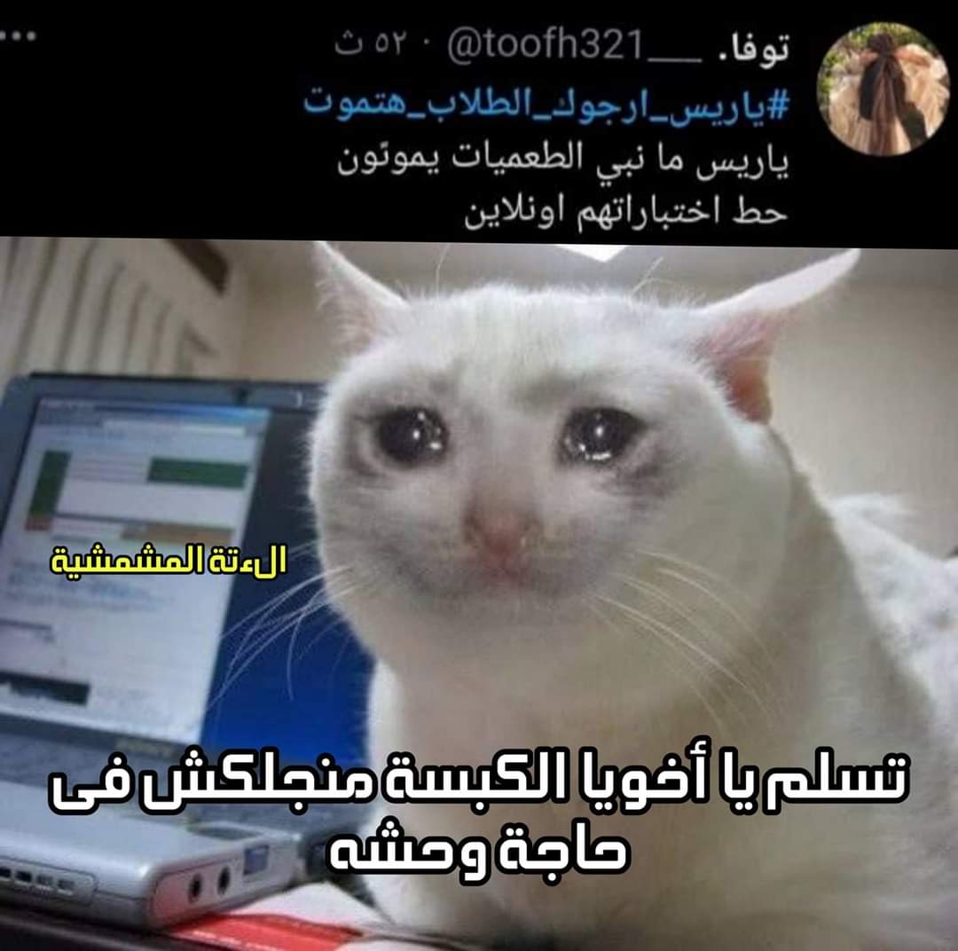 يعنى الكبساوية خايفين علينا وانت لا يريس
#ياريس_ارجوك_الطلاب_هتموت