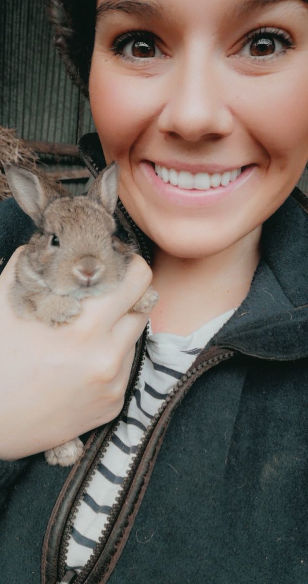 NatashaBaker28's tweet photo. We have a little visitor in the lambing shed 🐰

@BBCSpringwatch @BBCCountryfile @CAupdates

#lambing #spring https://t.co/aX5RK9pwYu
