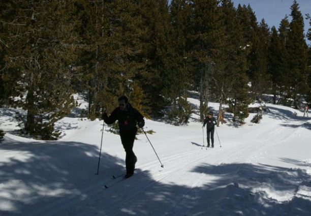 aralleida's tweet photo. Coneixeu l'estació d'esquí nòrdic d'ARANSA?⛷ Alterna unes vistes extraordinàries a la serra del Cadí, la vall de la Cerdanya i l’Alt Urgell. Compta amb un extens domini esquiable 🎿 amb autèntic #ADNLleida 💚🌍! 

ℹ️  @aransaesqui @TurismeCerdanya  
➡️  https://t.co/Dk70UN3fTB https://t.co/Z4RTBcVht7
