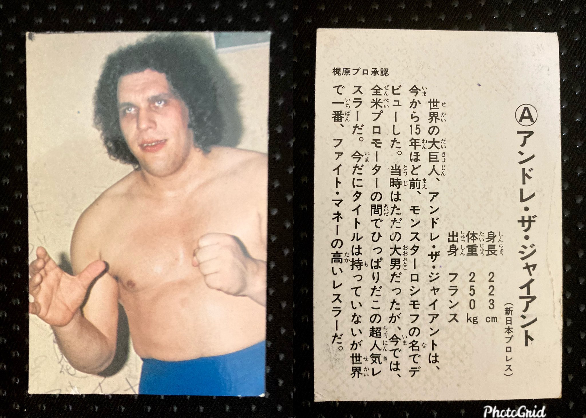 希少品 ∕新日本プロレス∕アンドレ・ザ・ジャイアント ∕ミニカード 希少品 新日本プロレス「アンドレ・ザ・ジャイアント ミニカード