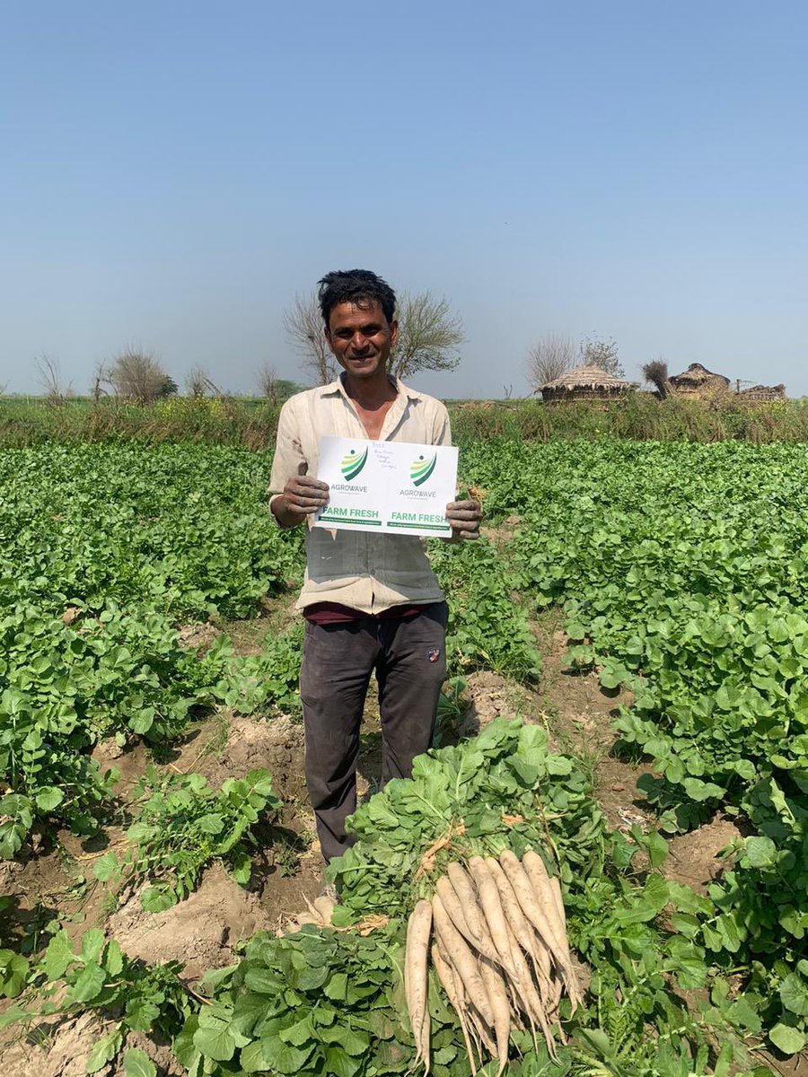 imanumeena's tweet photo. @agro_wave building supply from farms gates! Tapping in unexplored areas where farmers are struggling to sell their produce.
#agriculture #agritech #agrowave https://t.co/8OAHeSmrvs