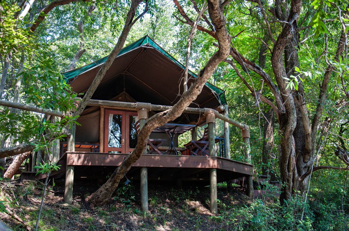 B'sorah Adventures tweet media