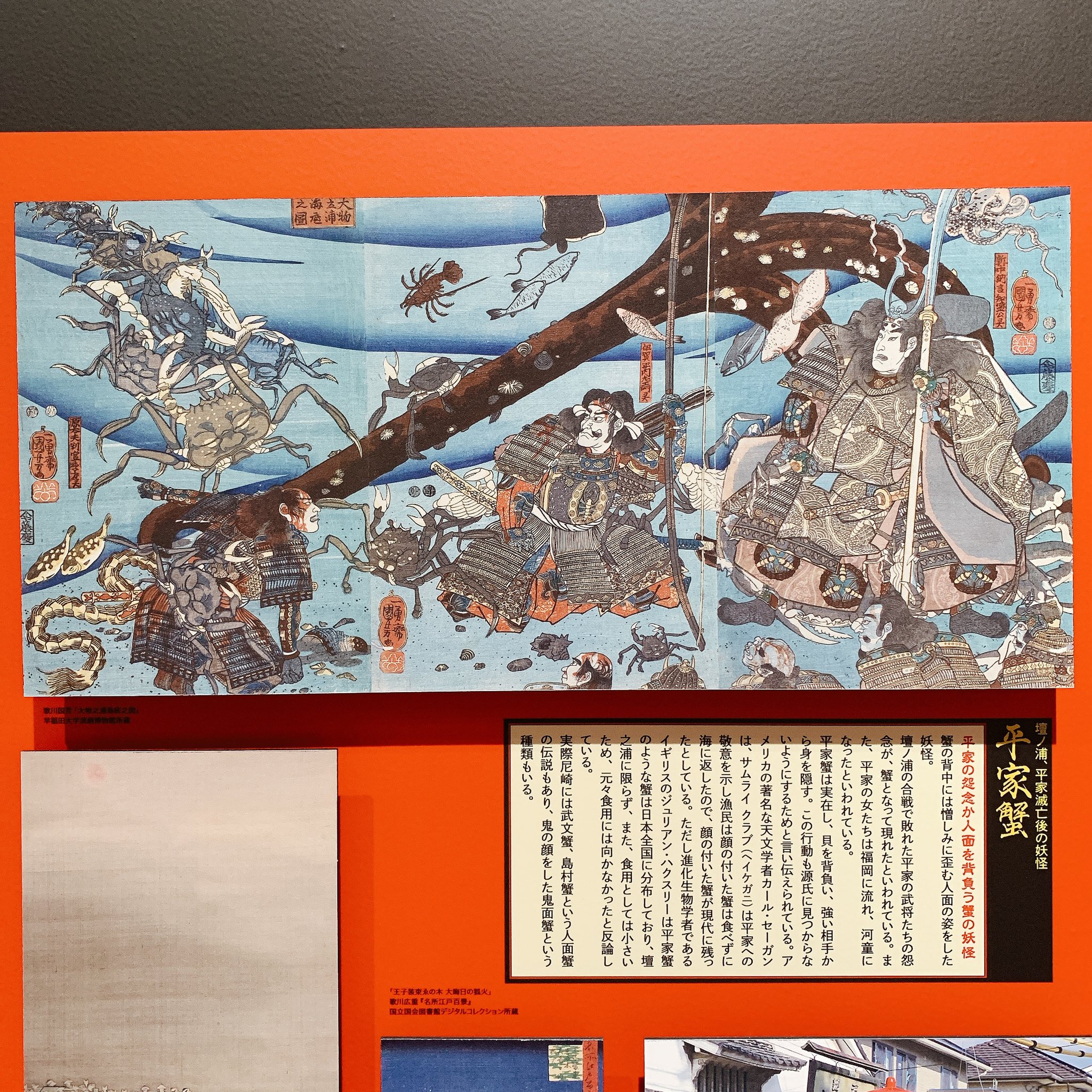 平家蟹稀少レア源平合戦下関壇之浦屋島檀ノ浦平家怨霊人面蟹リアル凹凸