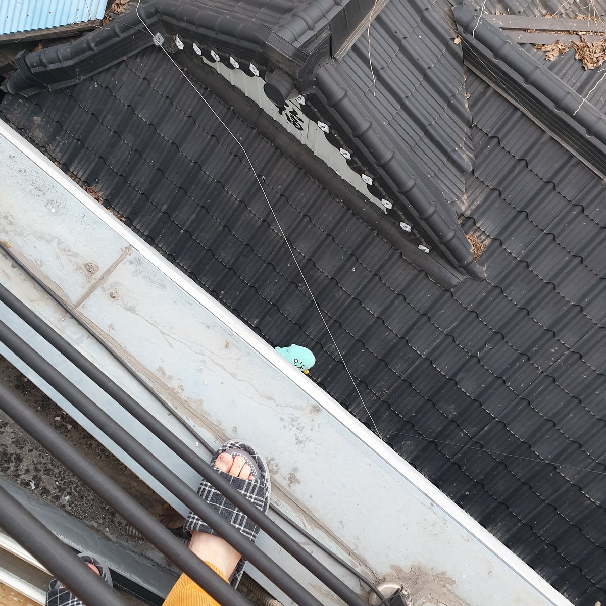 fallout908's tweet image. 이불털다가 좃댔음
네가 왜 이불에서 나와 ㅅ뷰ㅜㅜㅠㅜㅜㅜㅜ