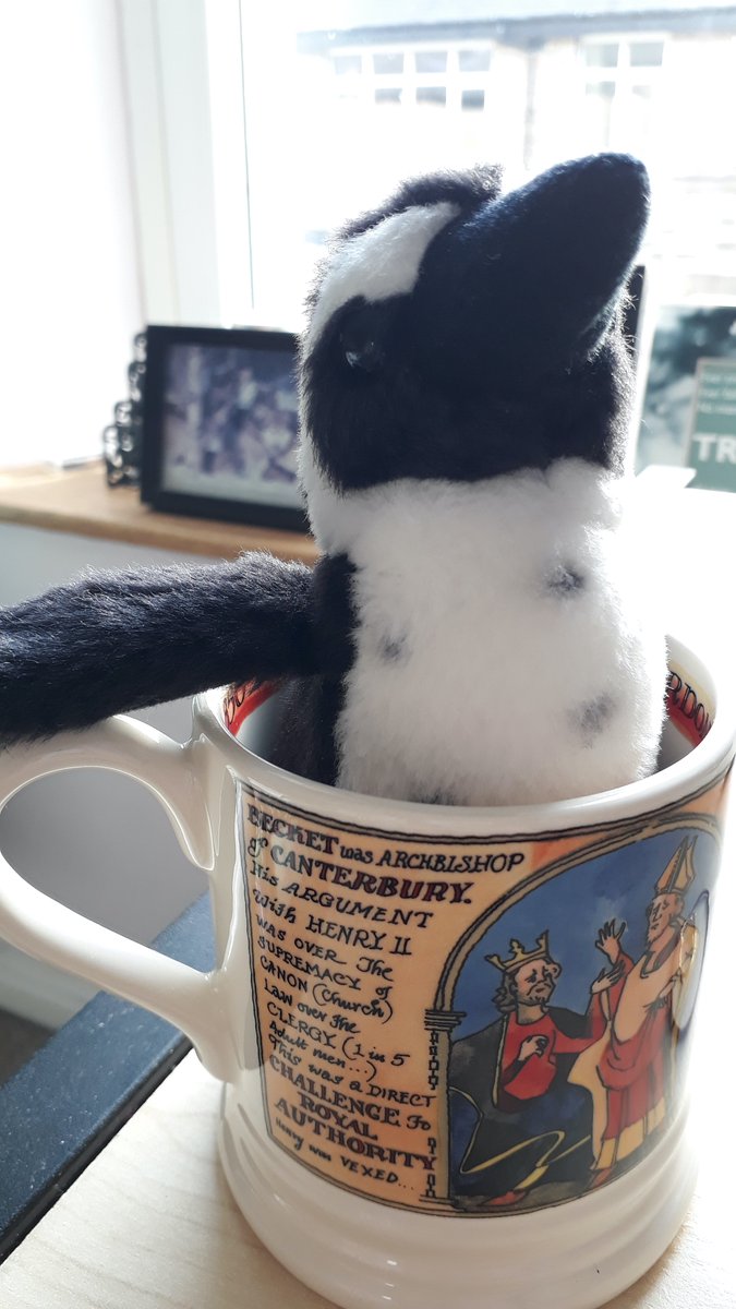 Debuting in my online seminars this week: one Thomas Becket mug; or, as @SXMedievalist put it, probably the only one I'll ever justify buying because it mentions medieval canon law. (Penguin not for purchase.)