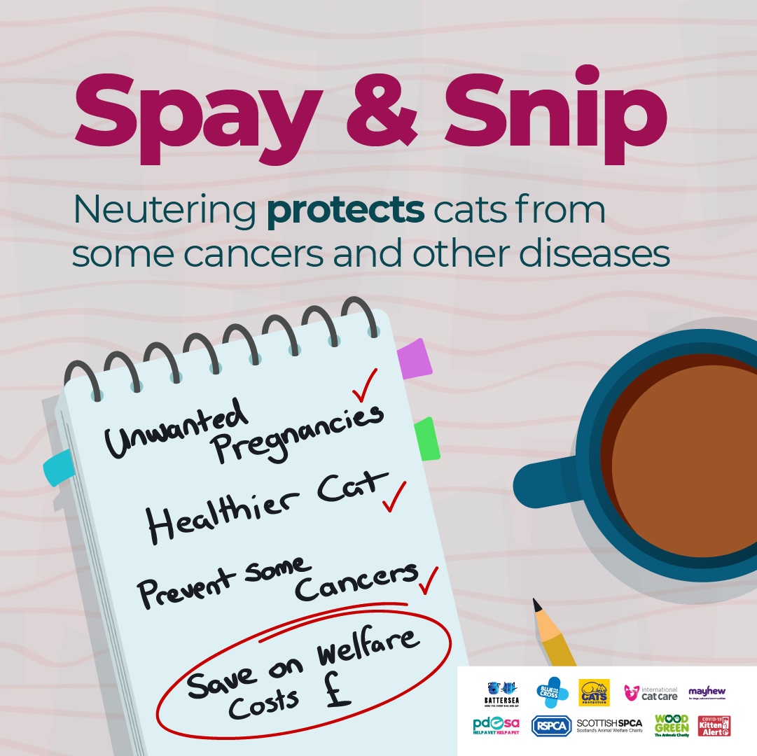 RSPCAMIDDLESEX's tweet image. Pets quickly become part of the family and we enjoy spoiling them now and them but what they really deserve is the ongoing benefits that neutering offers them! 🐈🐶🐇🐀

#worldspayday #becauseyoucare #pets #petsarefamily #petslover #spayandneuteryourpets #fortheloveofpets