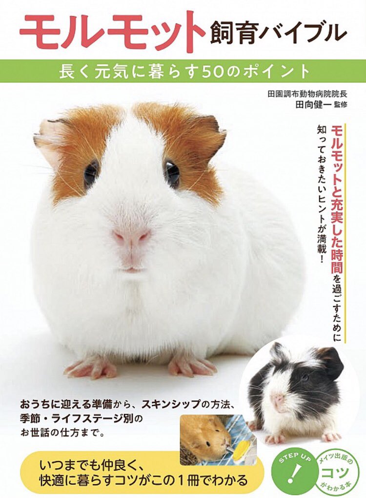 本ノ猪 Twitterissa モルモットの名前の由来は 注 オランダ人から日本に持ち運ばれた際に 当時の日本人に英語やオランダ 語で言う Marmot マルモット リスのげっし動物 と間違えて伝えてしまったことが始まりだとされています モルモット 飼育