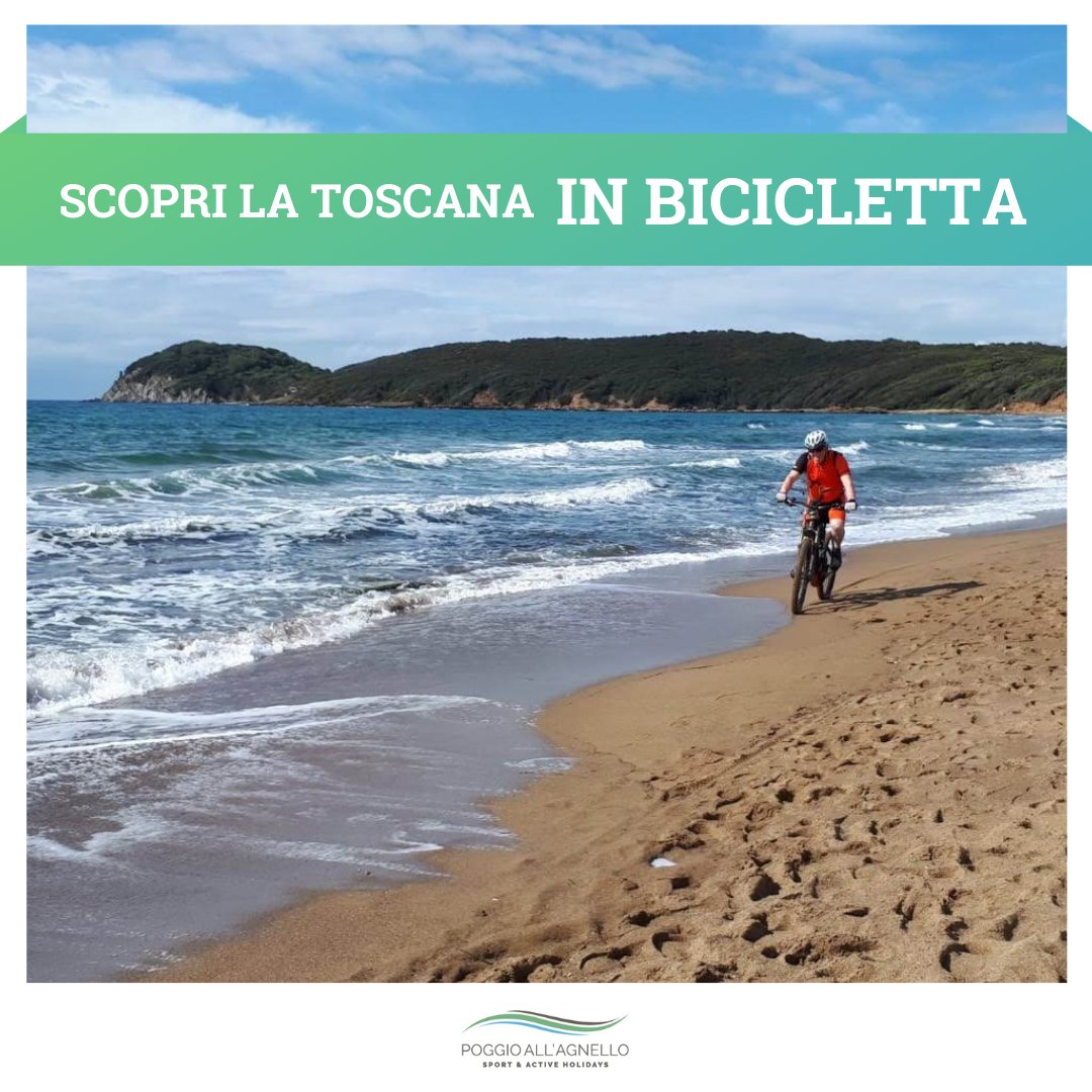 poggioagnello's tweet photo. 👉 SCOPRI LA TOSCANA IN BICICLETTA
#PoggioAllAgnello organizza per i suoi ospiti tour turistici e itinerari di allenamento per gli sportivi appassionati di ciclismo👉https://t.co/VV03Jfbgrr...

#Relax, #Natura e #Sport lungo la Costa degli Etruschi 🌊 https://t.co/GF0QazFsez