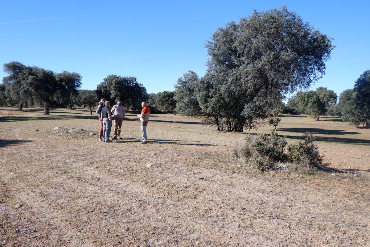PEFCSpain's tweet photo. Seguimos con las 45vocalías del #CTN162 para la revisión de @NormasUNE 162.002 #GFS, según la #Agenda21 @ONU_es. Hoy es el turno de los #PropietariosdeBosques: #AFG, #Asefor, #CentrodeMontesValsaín, @Selvicultores, #CPF, @fafcyle, #Tenzas y #USSE
🌐 https://t.co/djJODoCBzl
#PEFC https://t.co/rLwG5LC8dc