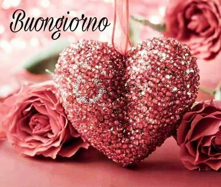 MariaGr01010088's tweet photo. @S78R08G20 https://t.co/5a77ToeLwg