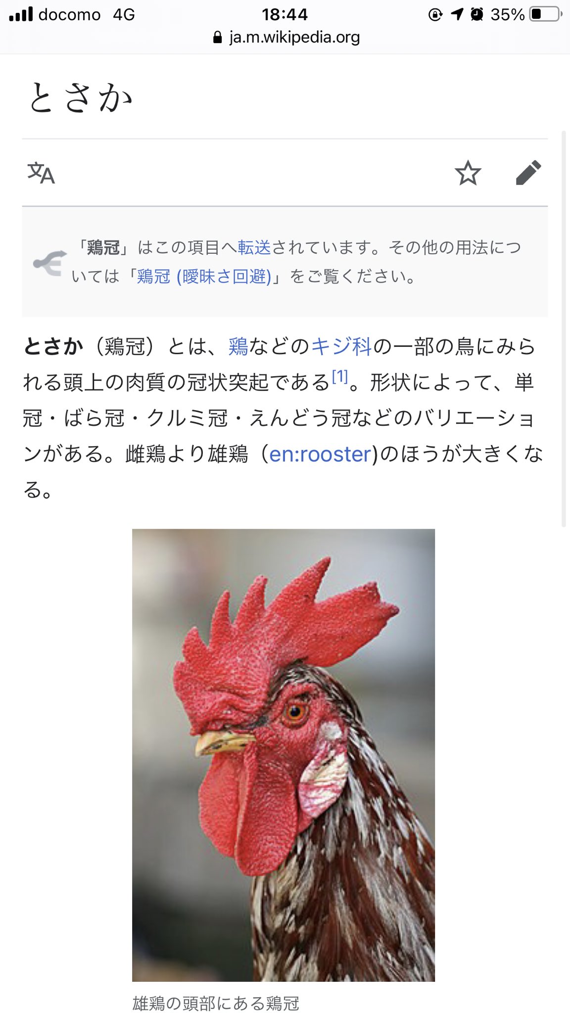 りちぴぃ 返り血p ニワトリとかの鶏冠とオウムとかの冠羽ってデフォルメすると似てるけどよく考えるとぜんぜん別物なんですね ゙゚ W゚ T Co Df130c7vod Twitter りちぴぃ 返り血p ニワトリとかの鶏冠とオウムとかの冠羽ってデフォルメすると似てるけどよく考えるとぜんぜん別物なんですね ゙゚ W゚ T Co Df130c7vod Twitter