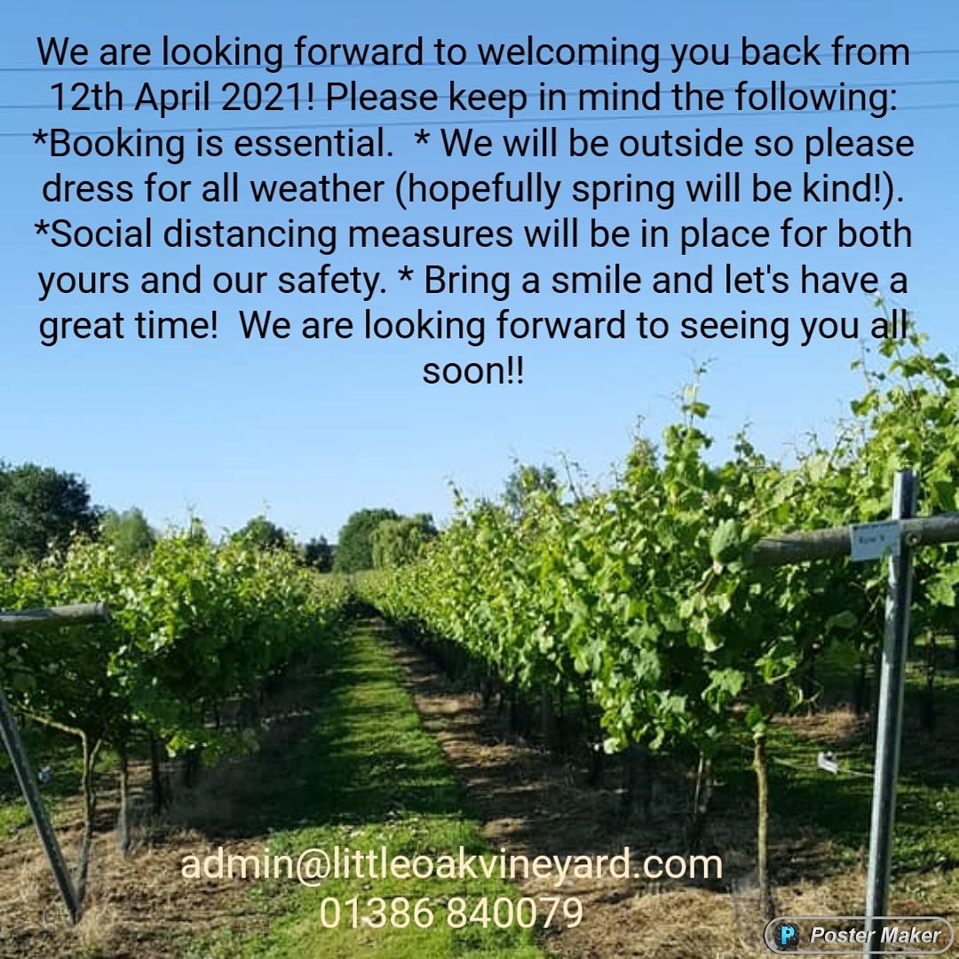 Little Oak Vineyard Ltd (@littleoakvines) on Twitter photo 