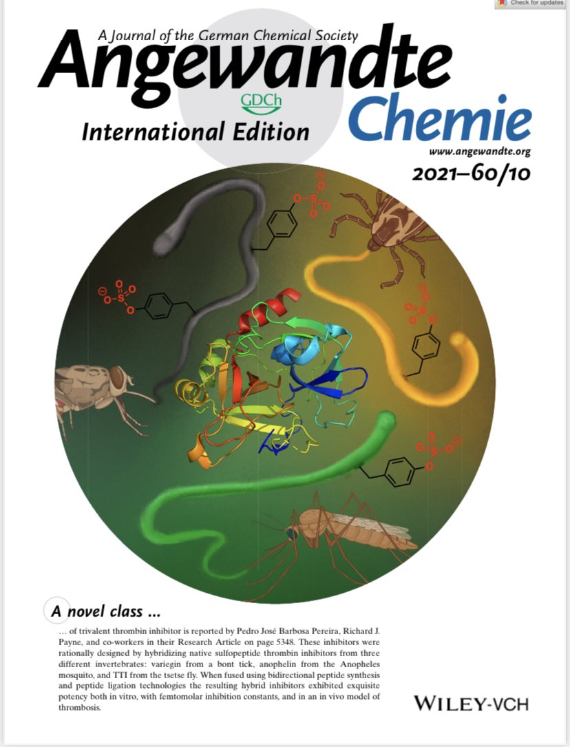 Payne Research Group (@payneresearch) on Twitter photo Great to see our new article on engineered trivalent sulfopeptide thrombin inhibitors featured on the cover of <a href="/angew_chem/">Angewandte Chemie</a> today!
You can check out the article at this link:
onlinelibrary.wiley.com/doi/10.1002/an…
<a href="/Sydney_Science/">Sydney Science</a> <a href="/SydneyChemistry/">Sydney Chemistry</a> <a href="/ARC_CIPPS/">CIPPS</a> #cipps Great to see our new article on engineered trivalent sulfopeptide thrombin inhibitors featured on the cover of <a href="/angew_chem/">Angewandte Chemie</a> today!
You can check out the article at this link:
onlinelibrary.wiley.com/doi/10.1002/an…
<a href="/Sydney_Science/">Sydney Science</a> <a href="/SydneyChemistry/">Sydney Chemistry</a> <a href="/ARC_CIPPS/">CIPPS</a> #cipps