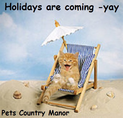 holidays are coming -hopefully -maybe -eventually -fingers crossed :)

petscountrymanor.com

#cats #petscountrymanor #luxurycattery #cathotel #liverpool #5stars #catteryinliverpool #cat #catcation #queenof #smartsocial #wow