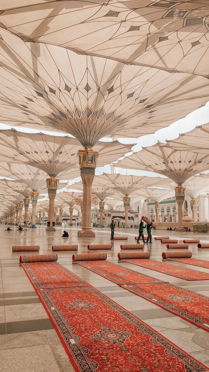 يَقين tweet media