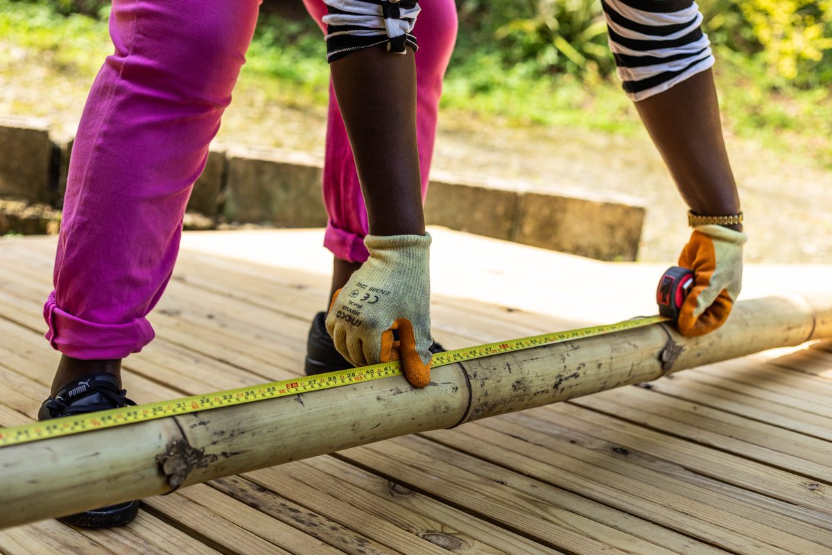 CongoCasa's tweet photo. We're proud to have collaborated with ArquitecturaMixta to develop new opportunities to experiment with bamboo: #JAHMAIZING is a bamboo lab located on the Marley Coffee Farm in the Jamaican Blue Mountains.

This project truly ignited the #bamboo industry in Jamaica!

#casacongo https://t.co/DfqHwFnrAf