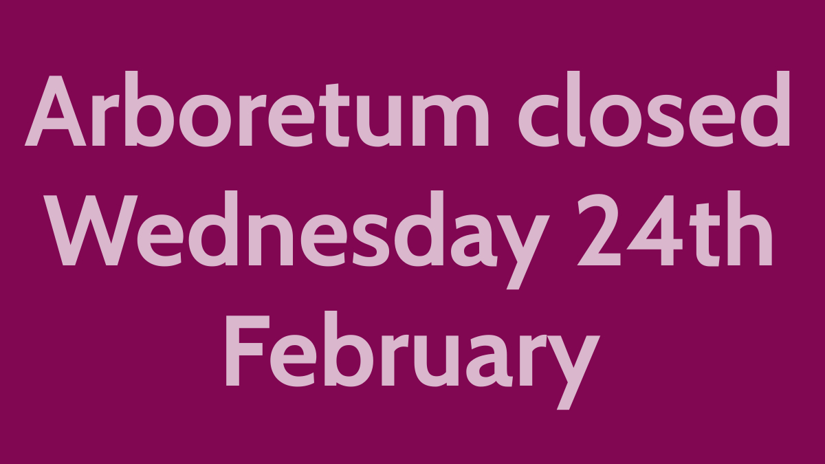 Unfortunately, the arboretum will be closed all day again tomorrow, Wednesday 24th February, due to further high wind gusts forecast. The garden centre will remain open as normal from 10am-3pm.