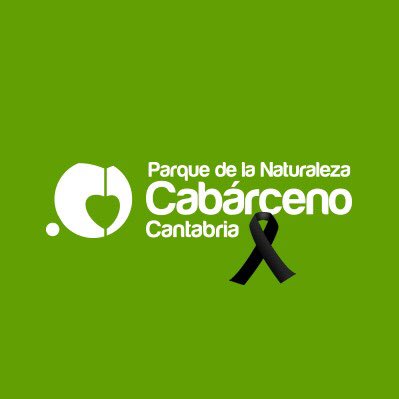 PCabarceno's tweet image. Triste día para la familia de Cabárceno.
D.E.P compañero

bit.ly/2NS5WOa