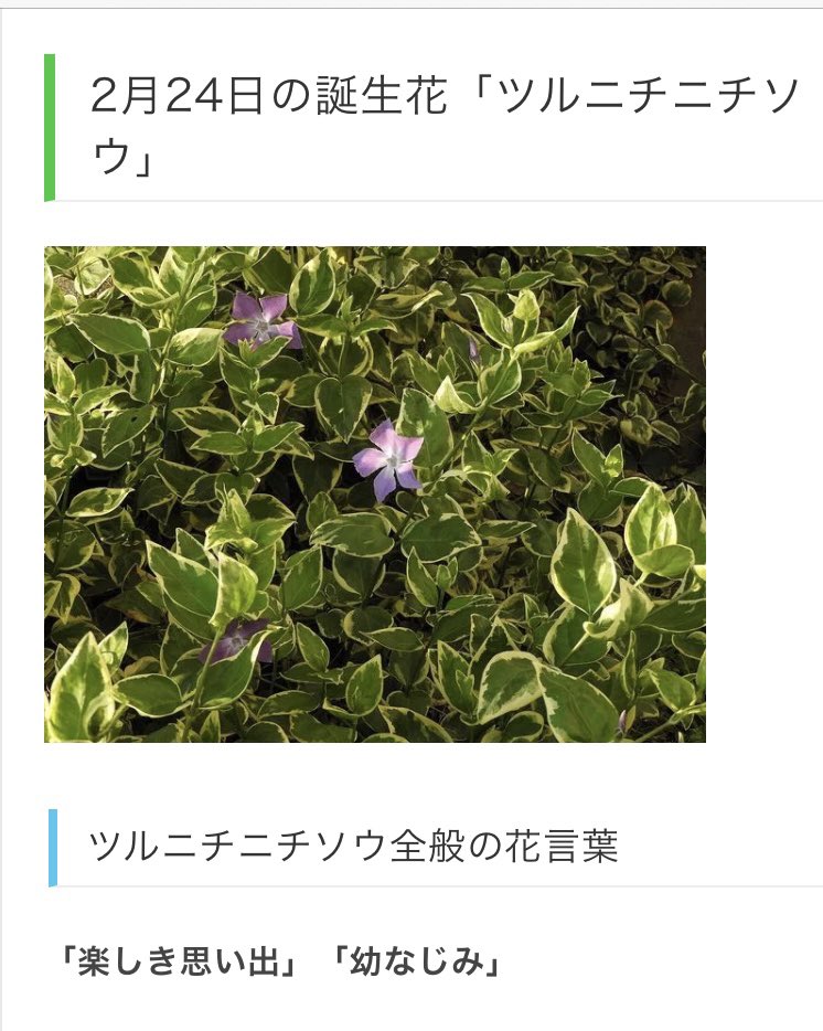 村咲 お誕生日おめでとうございます 誕生花のツルニチニチソウを捧ぐ アズール アーシェングロット生誕祭21 アズール アーシェングロット誕生祭21 村咲 お誕生日おめでとうございます 誕生花のツルニチニチソウを捧ぐ アズール アーシェングロット生誕祭21 アズール アーシェングロット誕生祭21