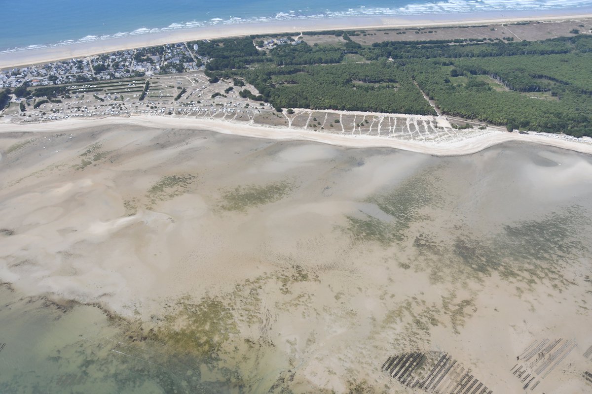 Nous recrutons 3 CDDs au sein du Pôle Ecologie &amp; Environnement pour nos campagnes de terrain estivales : 
ceva-algues.com/wp-content/upl…