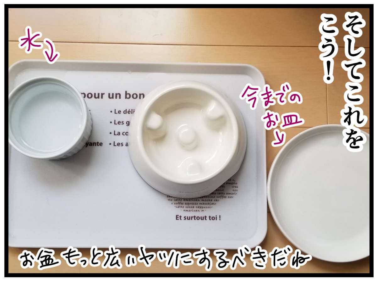 猫の吐き戻し問題に挑む2/3
買った食器はこれです↓
洗うのが大変だけど、それ以外はイイ感じです。
https://t.co/OLpzB6XL5S 