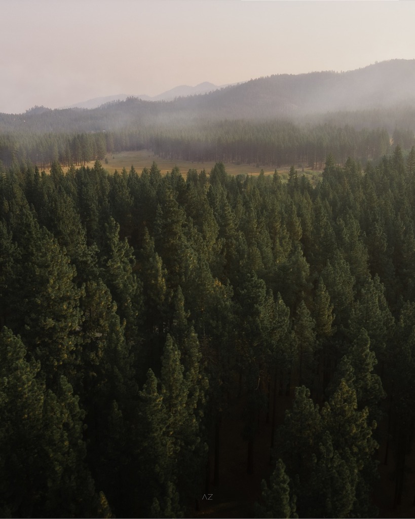 AzeezBakare_'s tweet photo. The border of Nevada and California⁠, 2020⁠
⁠
@djiglobal @polarpro -  day 862 https://t.co/MR83SFSPKM https://t.co/LQgyZfSFbe