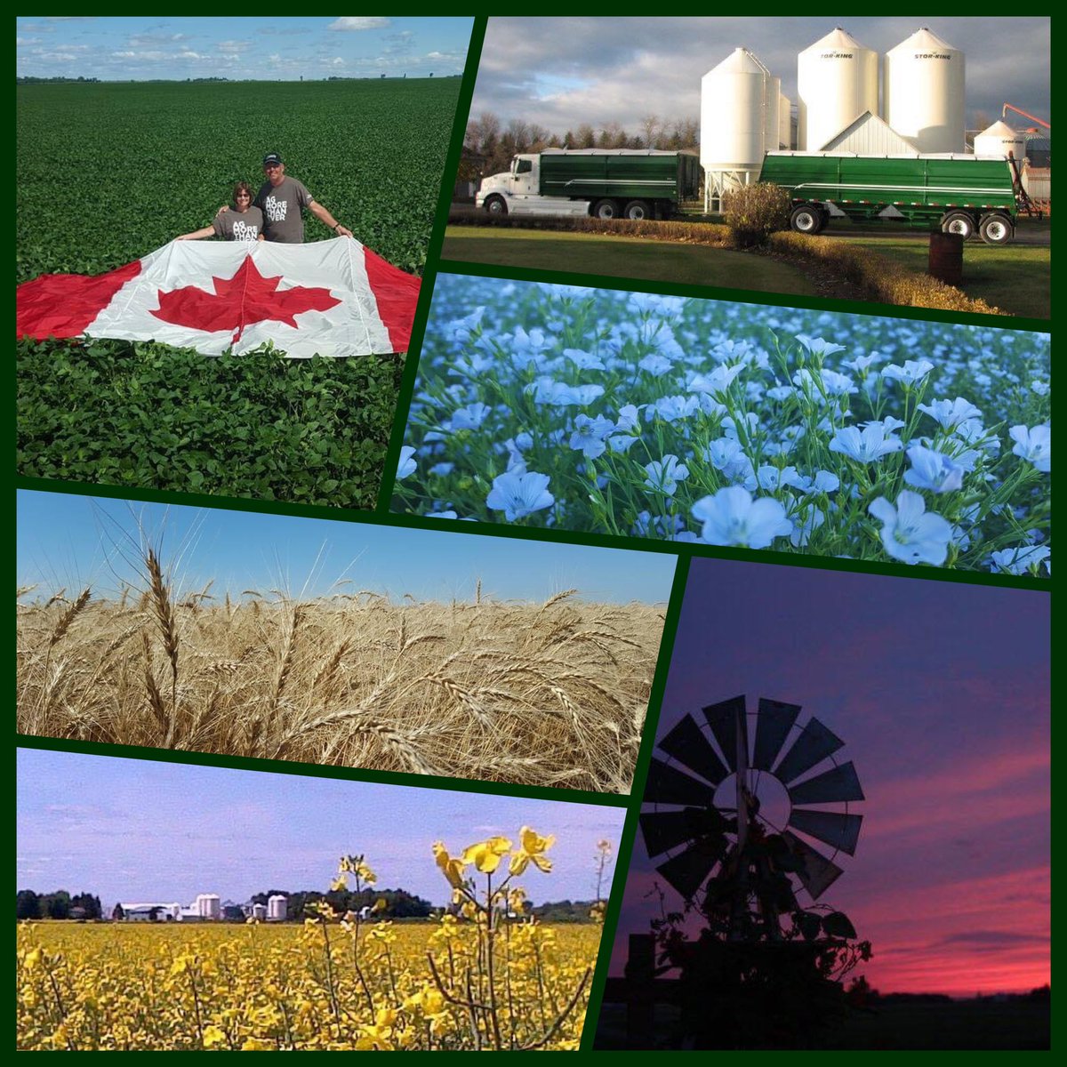 From our farm to you......Happy #CdnAgDay so proud to be doing our part to provide safe, healthy food to the world!