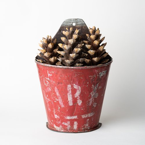 ParkLaneAntique's tweet image. Original metal wall planter made from one half of a vintage Indian fire bucket. Ideal for many uses...waste paper bin, hanging herb planter or simply for the vintage collector. parklaneantiques.co.uk/antique/vintag…
#vintage #firebucket #planter