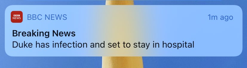 This reads like someone’s mum texting about the family dog