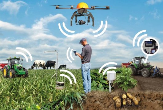 Lees in de nieuwste Attentiemail #Rundveehouderij meer over: bemesting, weidegang, droogstand en sensoren. mymeasuremail.com/880/Actions/Ne…