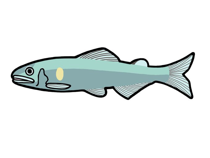 アユのtwitterイラスト検索結果 アユのtwitterイラスト検索結果