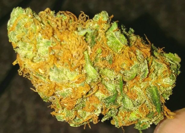 Enjoy a toke and a smile #StonerFam #smokeweed