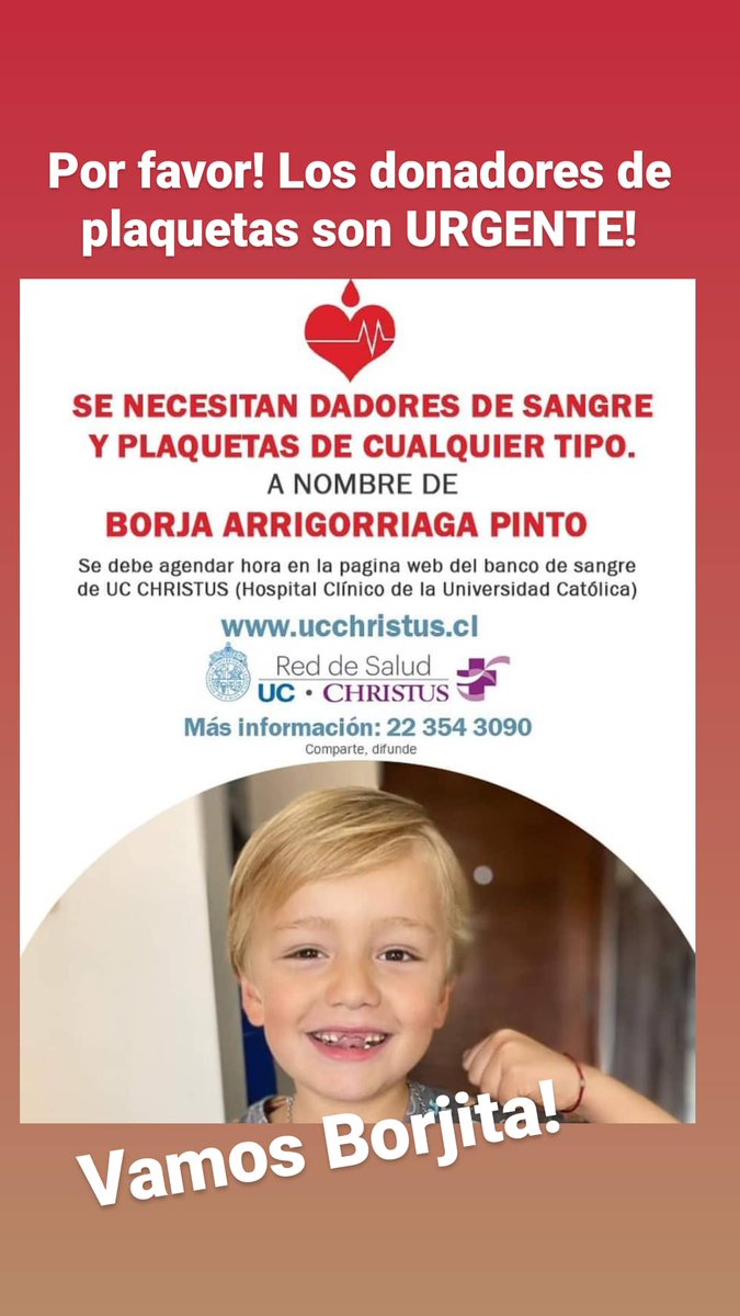 ferhagedorn6's tweet photo. Se necesita URGENTE donadores de PLAQUETAS en #Santiago Borjita nos necesita a todos. Por favor RT 
Si no puede donar, por favor COMPARTIR ❤🙏💪 https://t.co/P4iLahr8PY