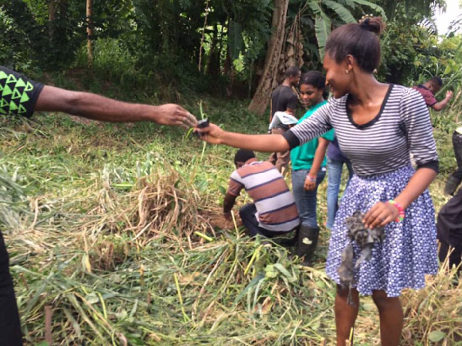 GhanaFrogs's tweet photo. The joy of #communalwork. These students are members of our #KNUST chapter who conduct regular #habitatrestoration activities on campus along the Wewe River, home to 12 frog species. https://t.co/TqCQBC2Q7F