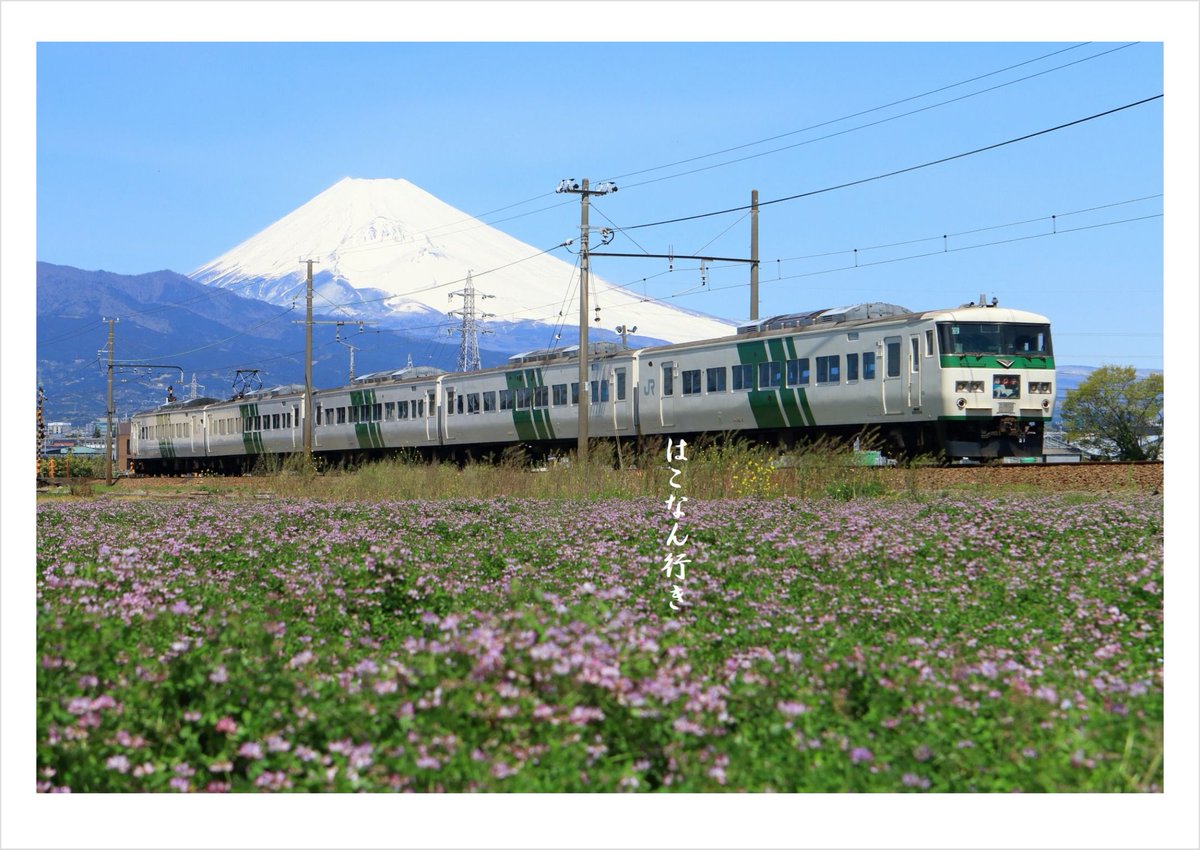 その昔、肥料代わりに重宝された蓮華。時期には全国で蓮花畑が見られたのだとか。

今では田植えが早まり花期が遅いのと、化学肥料化などで少なくなりましたが、日本でも田植えの遅い駿豆線は例外。
初夏になるとあちこちで広がる蓮花畑が綺麗で、中村踏切もその1つです。

#富士山の日
#メモリアル185