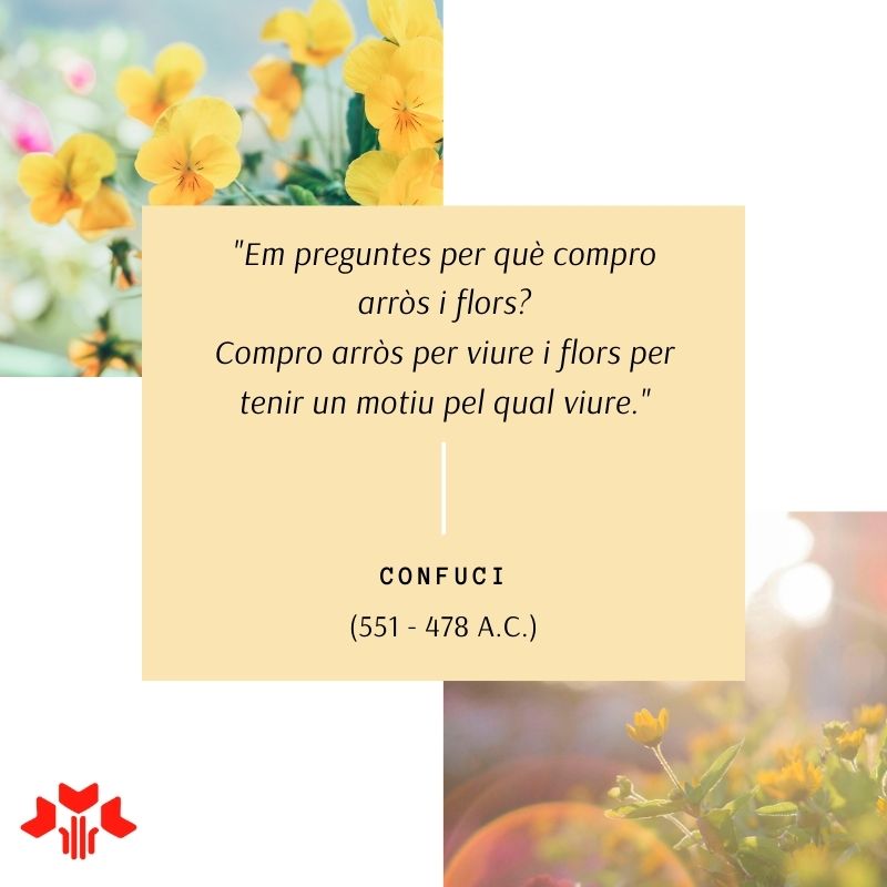 Són les flors igual d'essencials que el menjar? Nosaltres diem que sí!

#mercatdefloriplanta #cita #quote #reflexiones #citas #quotes #frase #lifestyle #pensamientos #pensamiento #reflexion #art #letras #cites #frases #reflexions #confunci #confuncio #filosofia #confuncianism