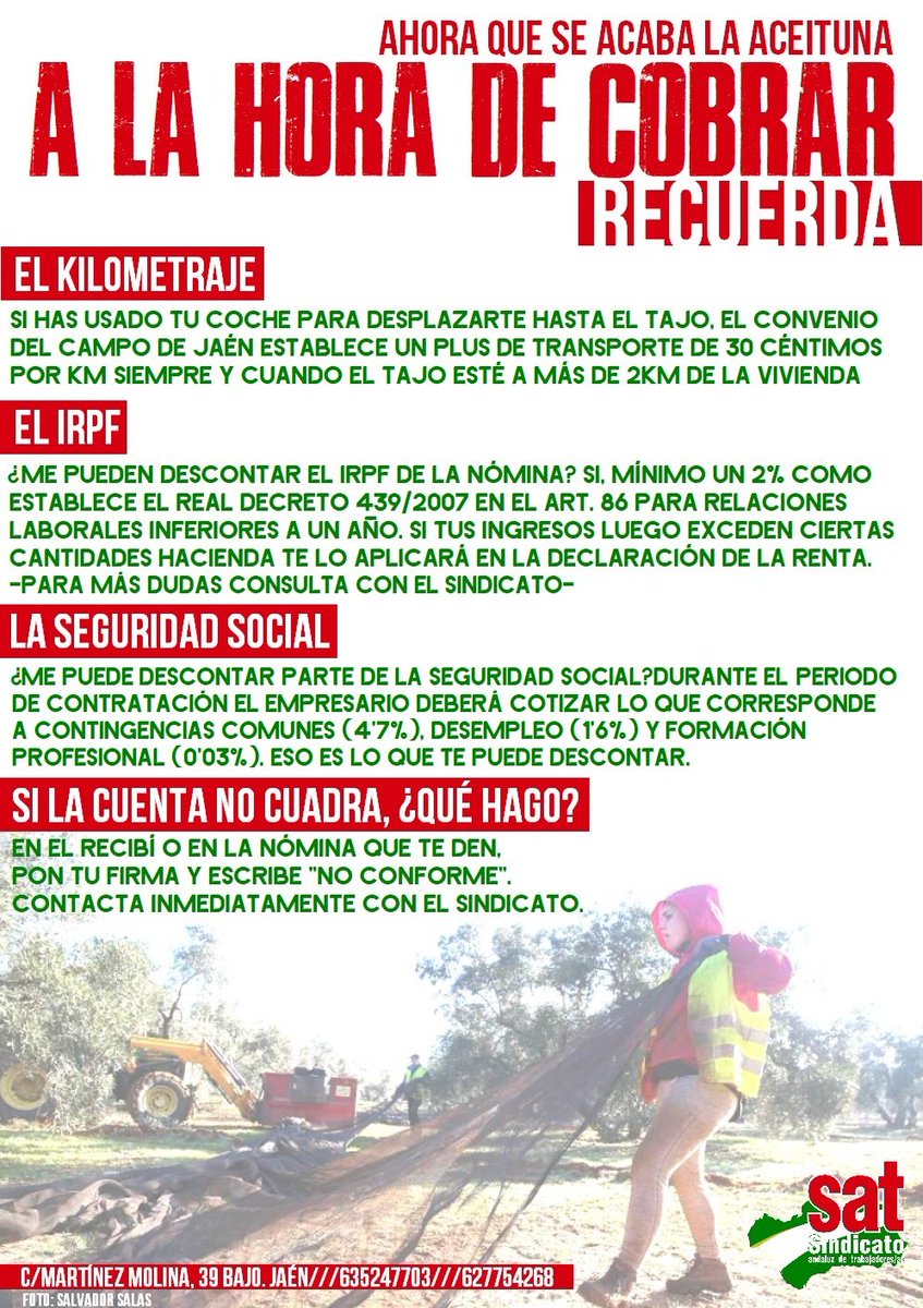 SATJaen's tweet photo. 🔴¡SE ACABA LA ACEITUNA!🔴

👉Ahora vienen los líos con los pagos o la cotización: El kilometraje, el IRPF, la cotización en la Seguridad Social...

✔️Si te surge cualquier duda:

📲635247703 //  627754268
📍C/Martínez Molina, 39

#Aceitunaconderechos #Alcampoconderechos https://t.co/KNwMZWUb6M