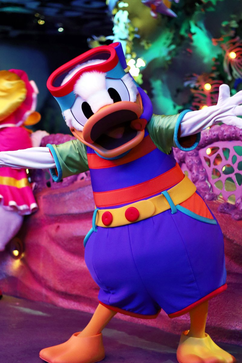 Mokosuke ネコの日だったのにベルリオーズに会えず キャラグリ キャラクターグリーティング おしゃれキャット マリーちゃん トゥルーズ ドナルドダック デイジー ディズニーシー 21 2 22