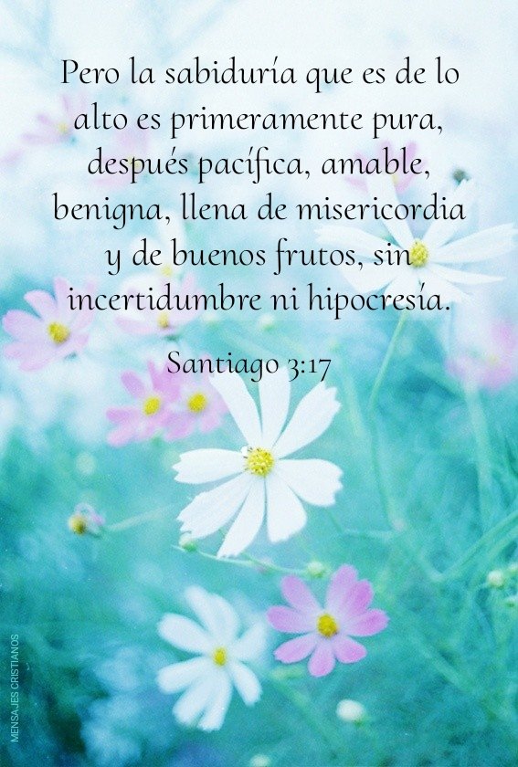 MENSAJES CRISTIANOS?✨ on Twitter: 