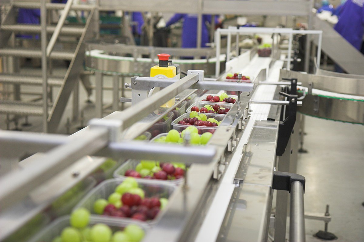 MARCO_Limited's tweet photo. Installed by market leaders around the world our table grape packing solutions consistently improve productivity and reduce pack house labour.
https://t.co/TX24RFiHqH
#grapeharvest #reducelabour #tablegrapes https://t.co/JZ2tb4MT9o