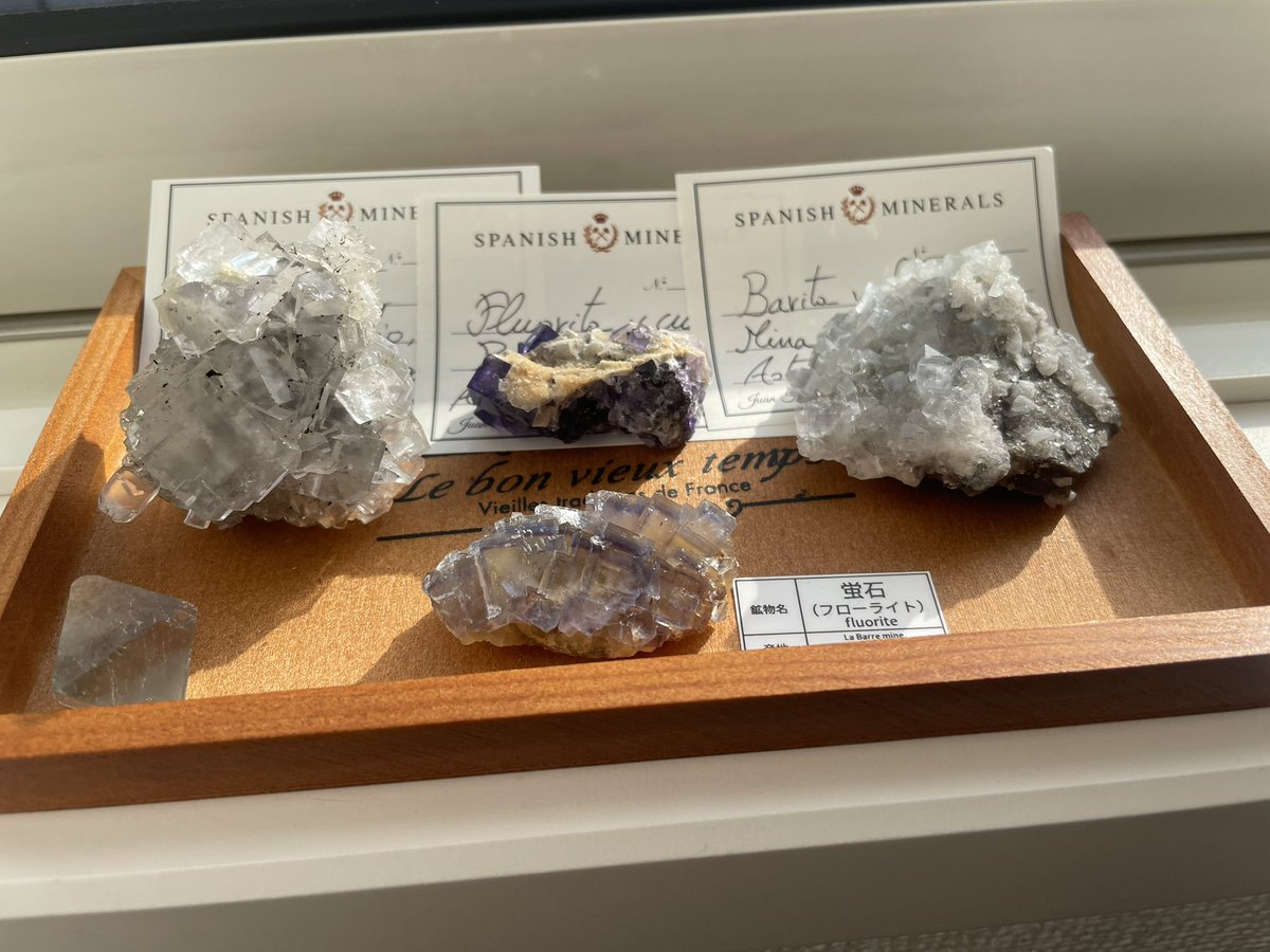 Mou ジュアン キッズ 鉱物博物館さん Kidsmineraru の 蛍石 重晶石 苦灰石の標本 透明な蛍石 最初の2枚 は右下に飛び出した鉱物が可愛いです 紫の蛍石はブラウンシュガー付き ゾーニングも美しい 重晶石はキラキラ 動画で一目惚れしてしまった Mou ジュアン キッズ 鉱物博物館さん Kidsmineraru の 蛍石 重晶石 苦灰石の標本 透明な蛍石 最初の2枚 は右下に飛び出した鉱物が可愛いです 紫の蛍石はブラウンシュガー付き ゾーニングも美しい 重晶石はキラキラ 動画で一目惚れしてしまった