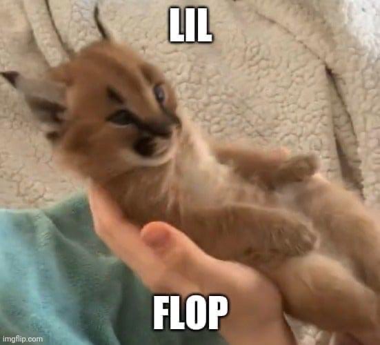 Eu6I1l_XAAMZPLD?format=jpg&name=small