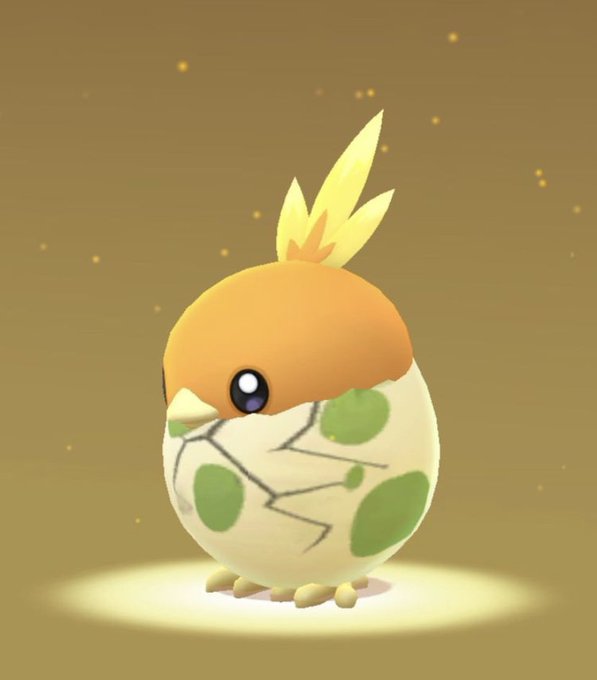 アチャモのtwitterイラスト検索結果 アチャモのtwitterイラスト検索結果