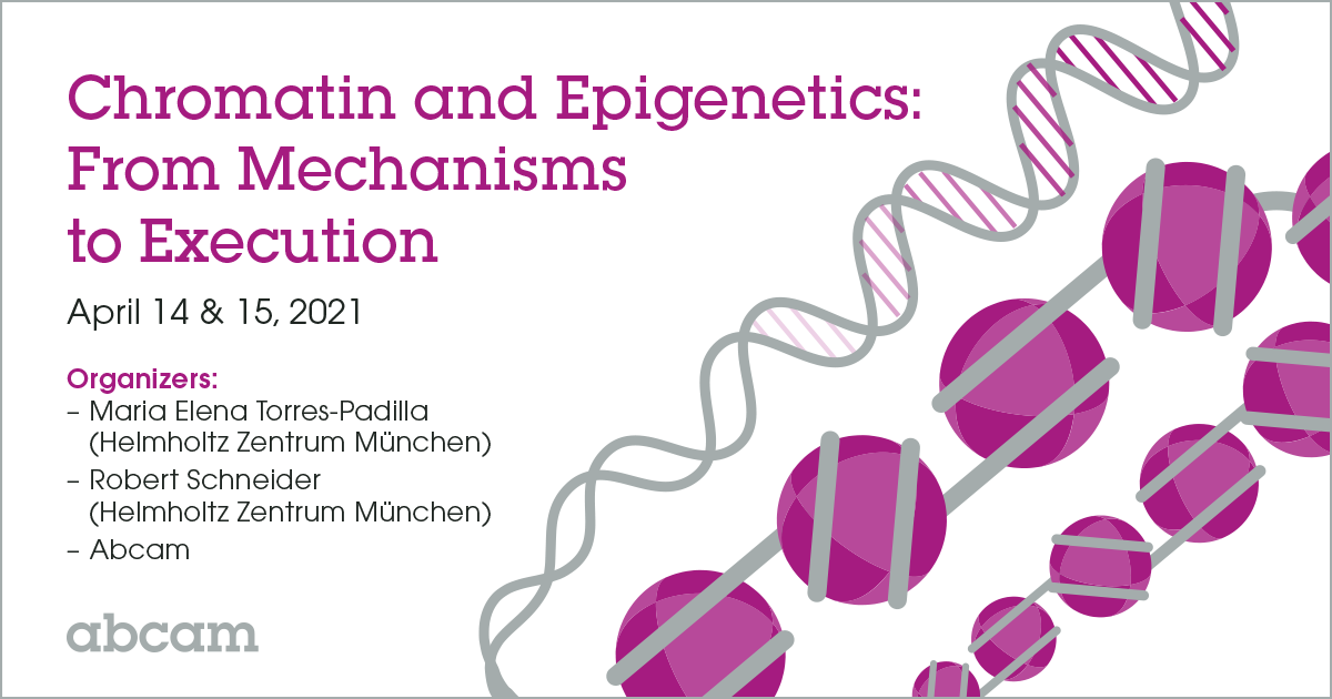 Join us for our (virtual) meeting in April. Registration is now open. Please RT. Compact format: 2 half days. Free registration: abcam.com/webinars/chrom… together with <a href="/abcam/">Abcam</a> <a href="/METorresPadilla/">ME Torres-Padilla</a>