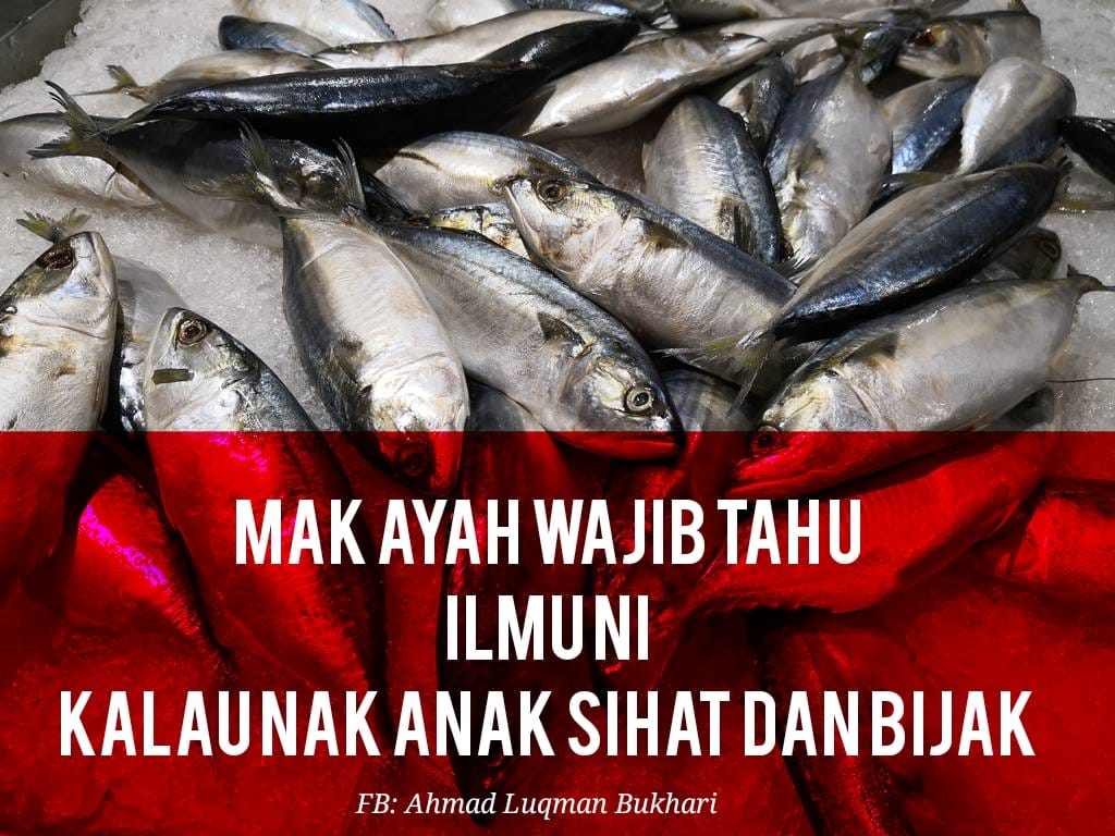 drluqman's tweet image. Ni 3 sebab kenapa ikan antara makanan terbaik buat anak korang makin sihat dan bijak.